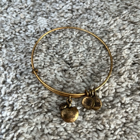 Alex and Ani charm bangles set of 9 - Picture 4 of 11